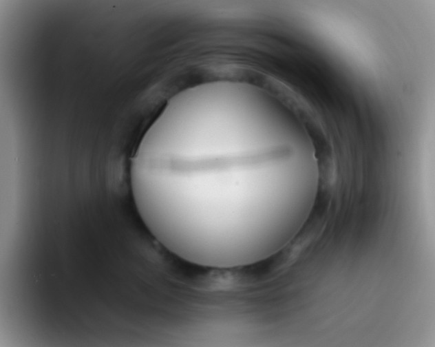 X0000091940764200709261932