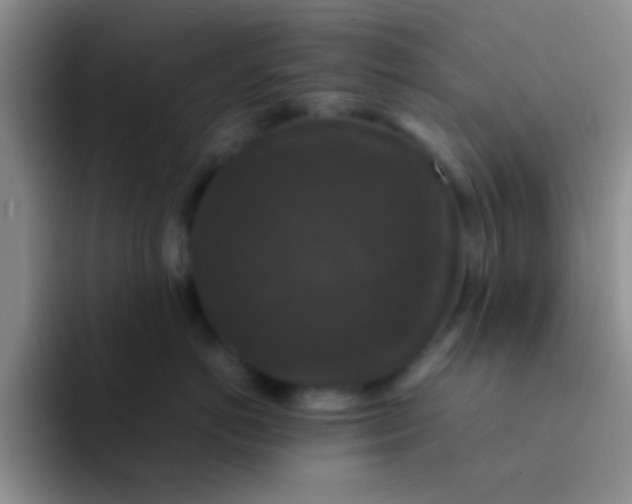 X0000091940766200709261932