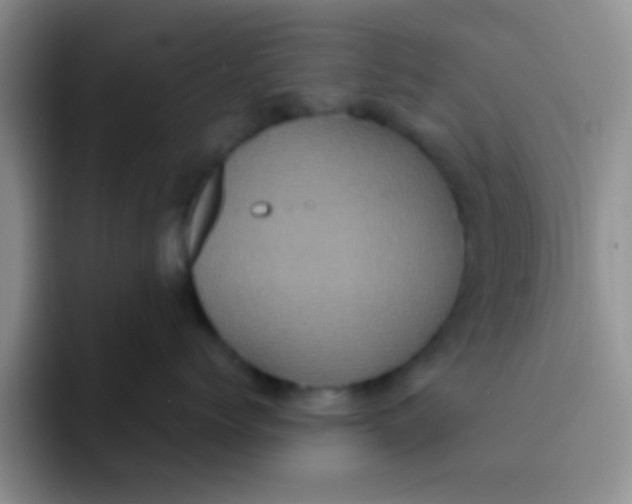 X0000091940768200709261932