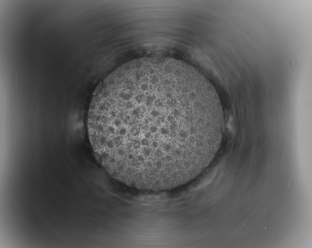 X0000091940771200709261932