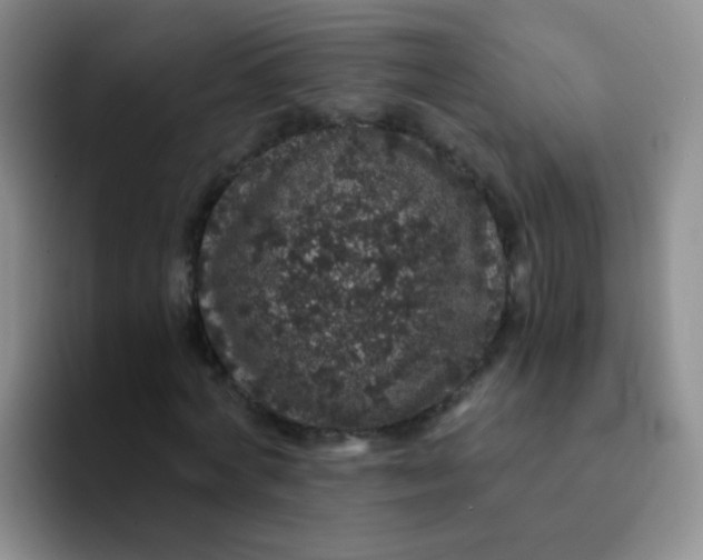 X0000091940772200709261932