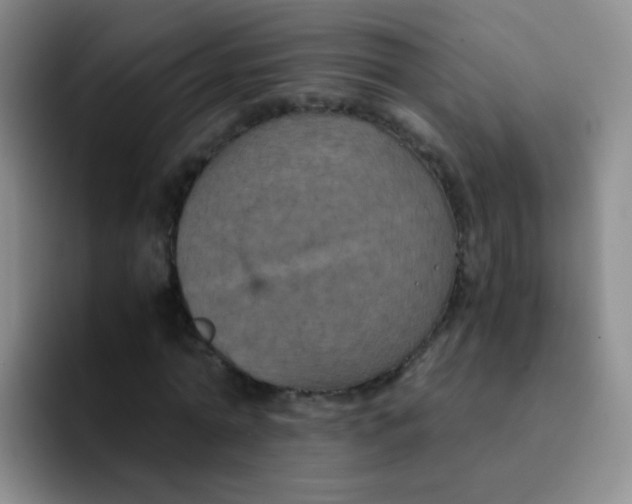 X0000091940774200709261932