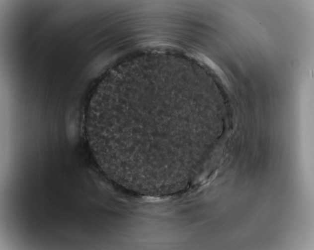 X0000091940775200709261932