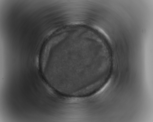 X0000091940777200709261932