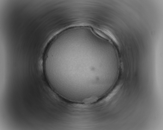 X0000091940781200709261931