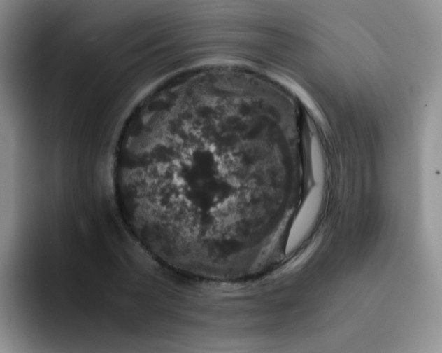 X0000091940783200709261931