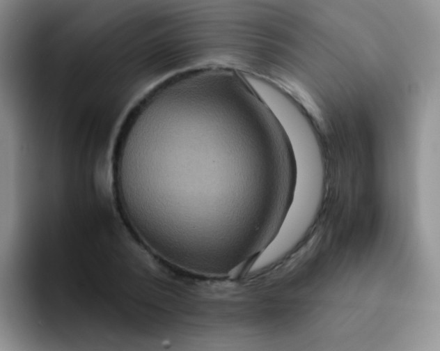 X0000091940784200709261931