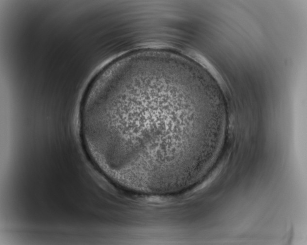 X0000091940787200709261931