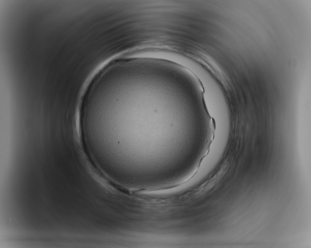 X0000091940788200709261931