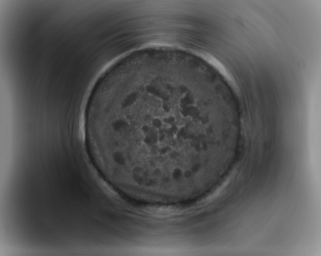 X0000091940791200709261931