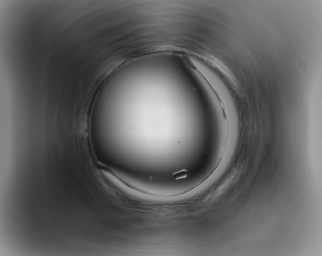 X0000091940793200709261931