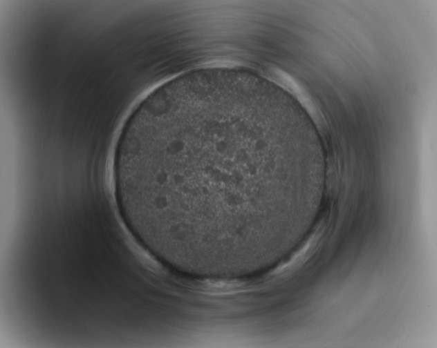 X0000091940795200709261931