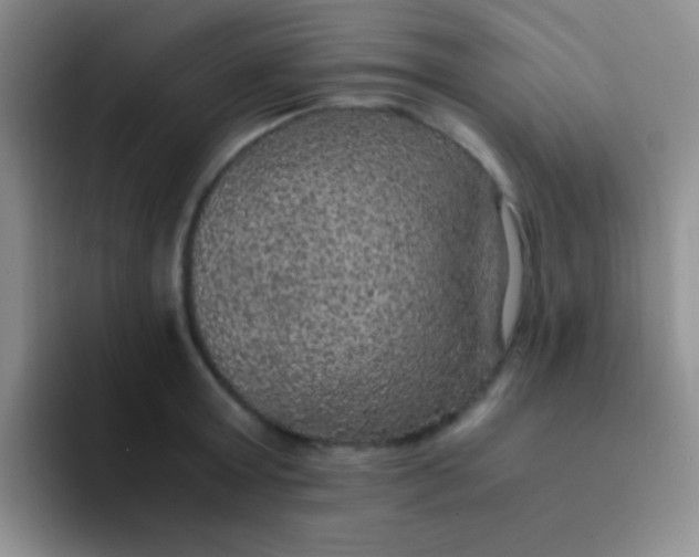 X0000091940803200709261931