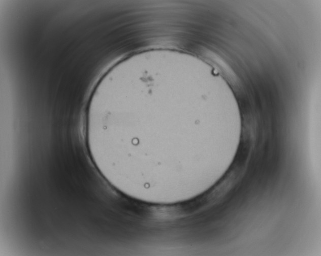 X0000091940804200709261931