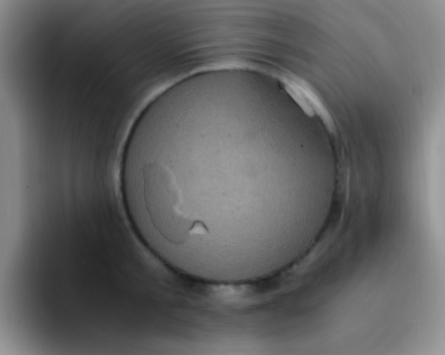 X0000091940805200709261931