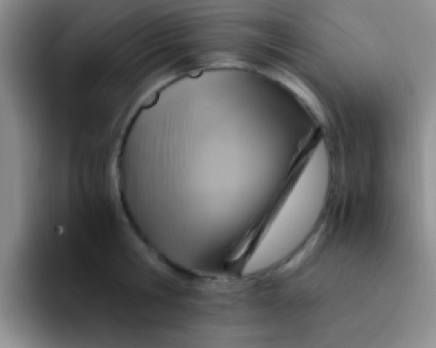 X0000091940806200709261931