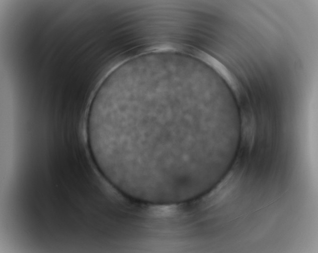 X0000091940810200709261931