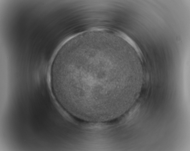 X0000091940811200709261931