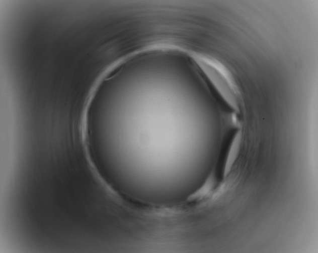 X0000091940815200709261931