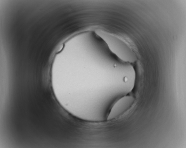 X0000091940816200709261931