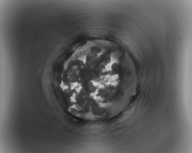 X0000091940817200709261930