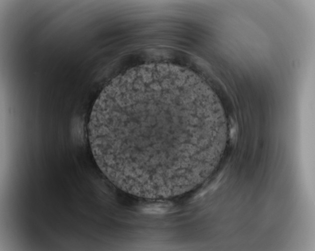 X0000091940819200709261931