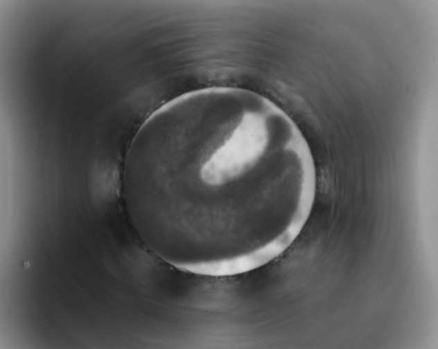 X0000091940820200709261931