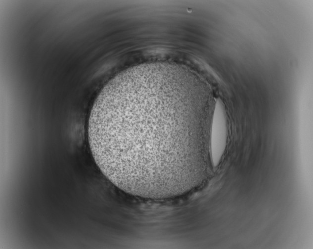 X0000091940821200709261931