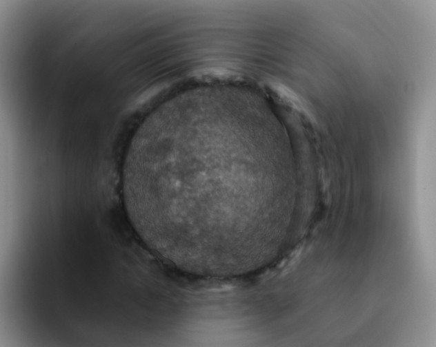 X0000091940822200709261931