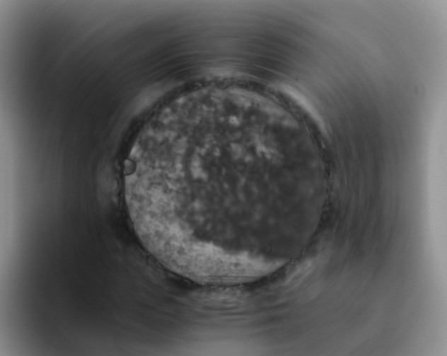 X0000091940823200709261931