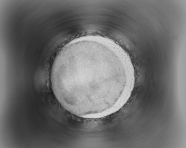 X0000091940824200709261931