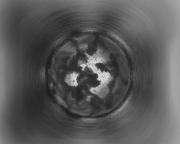 X0000091940825200709261931