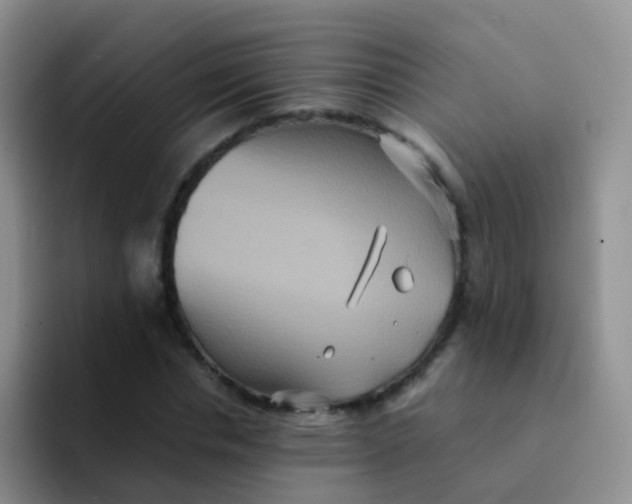 X0000091940826200709261931