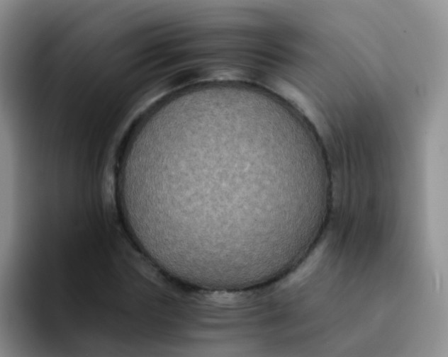 X0000091940827200709261931