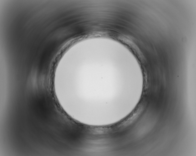 X0000091940828200709261931