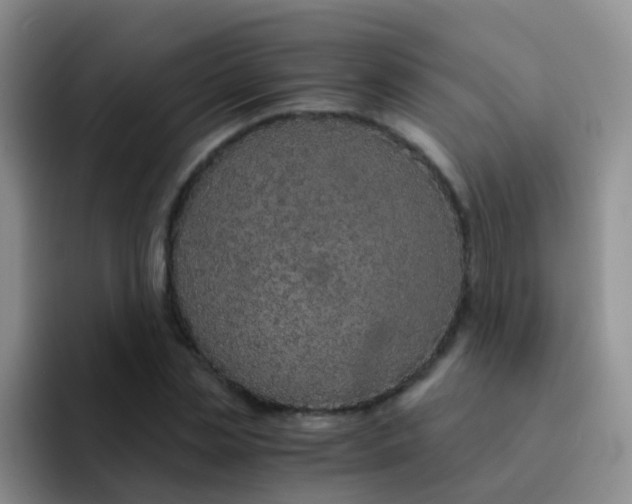 X0000091940829200709261931