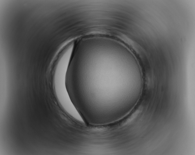 X0000091940830200709261931