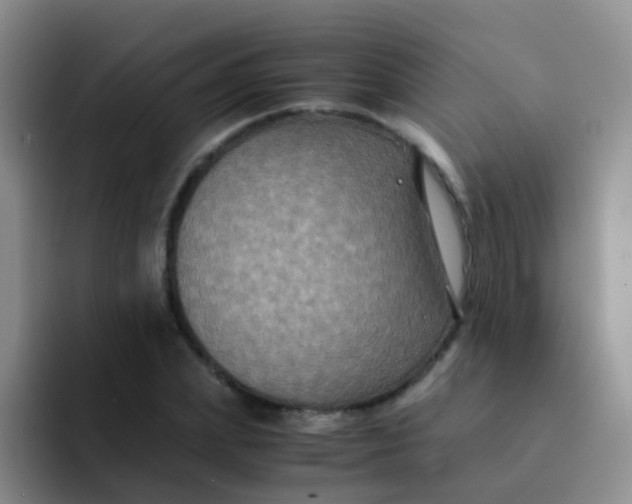 X0000091940831200709261931