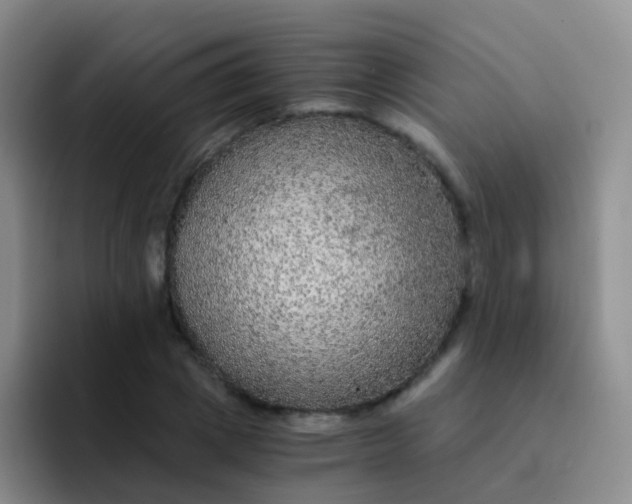 X0000091940833200709261931