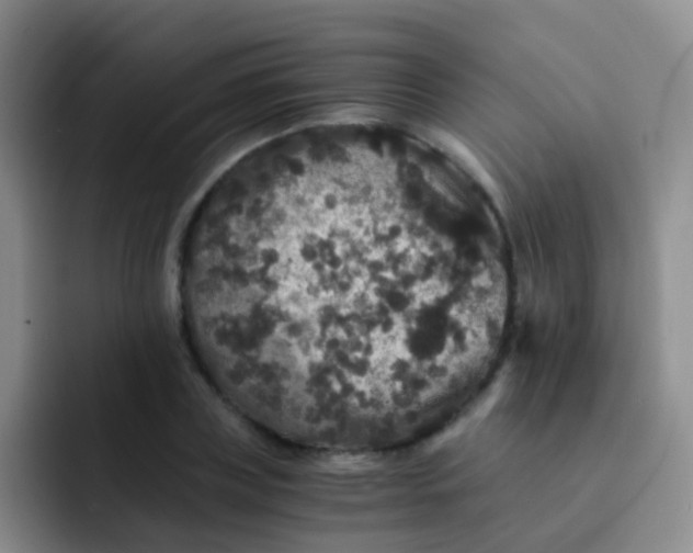 X0000091940835200709261931