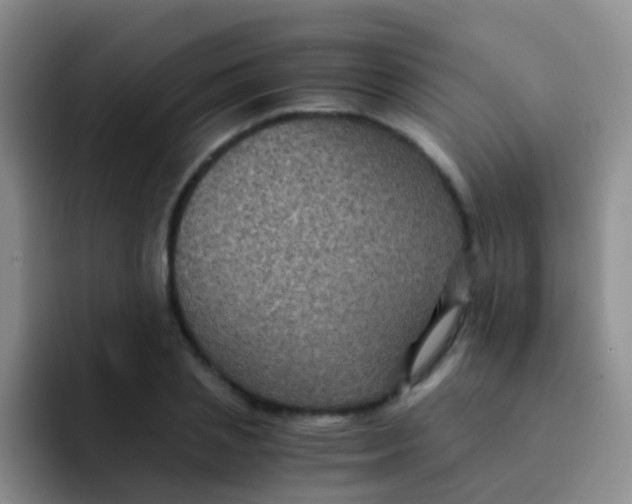 X0000091940837200709261931