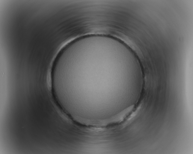 X0000091940838200709261931