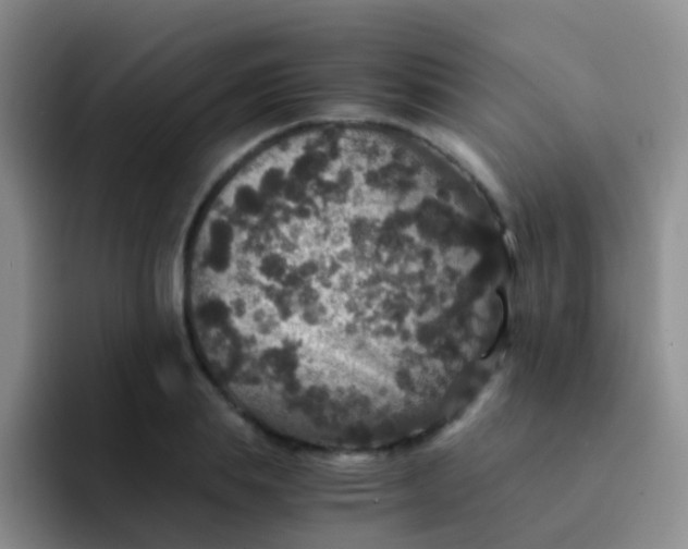 X0000091940839200709261931