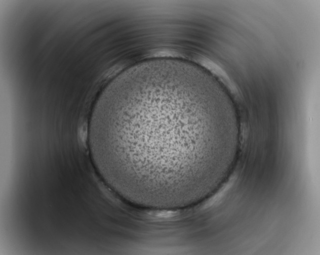 X0000091940841200709261931