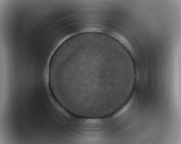 X0000091940844200709261931