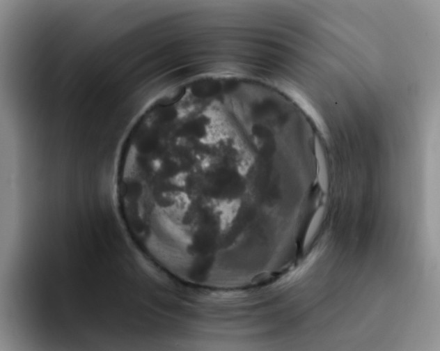 X0000091940845200709261931