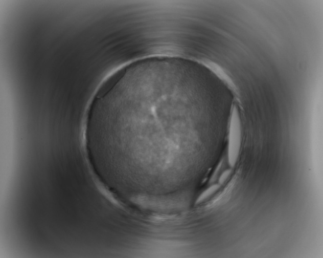 X0000091940846200709261931