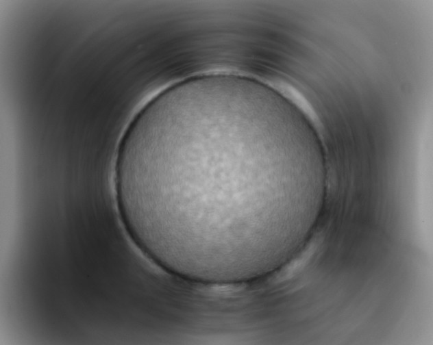 X0000091940847200709261931