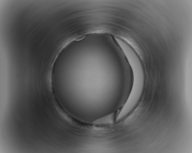 X0000091940850200709261931