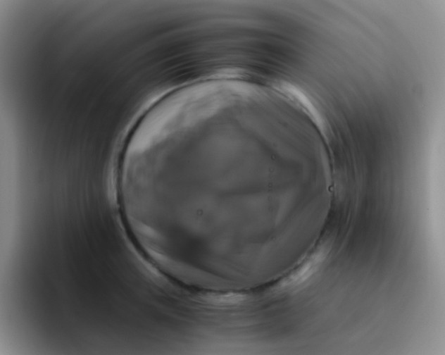 X0000091940851200709261931